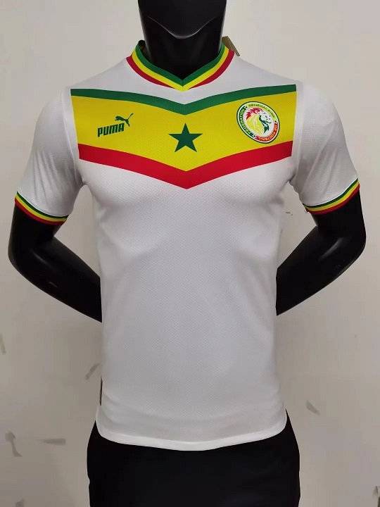 AAA Quality Senegal 2022 World Cup Home Soccer Jersey(Player)